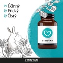 VIRIDIAN GINKO BILOBA ORGANIC 50ML (3)