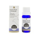 AQUA OLEUM EUCALYPTUS 10ML (2)