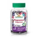 JAMIESON MAGNESIUM (BISGLYCINATE) GUMMIES 60'S (3)