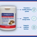 LAMBERTS ASHWAGANDHA 6000MG CAPS 60'S (2)