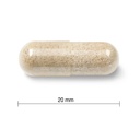 JAMIESON GENTLE IRON 28MG CAPS 90'S (3)
