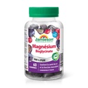 JAMIESON MAGNESIUM (BISGLYCINATE) GUMMIES 60'S