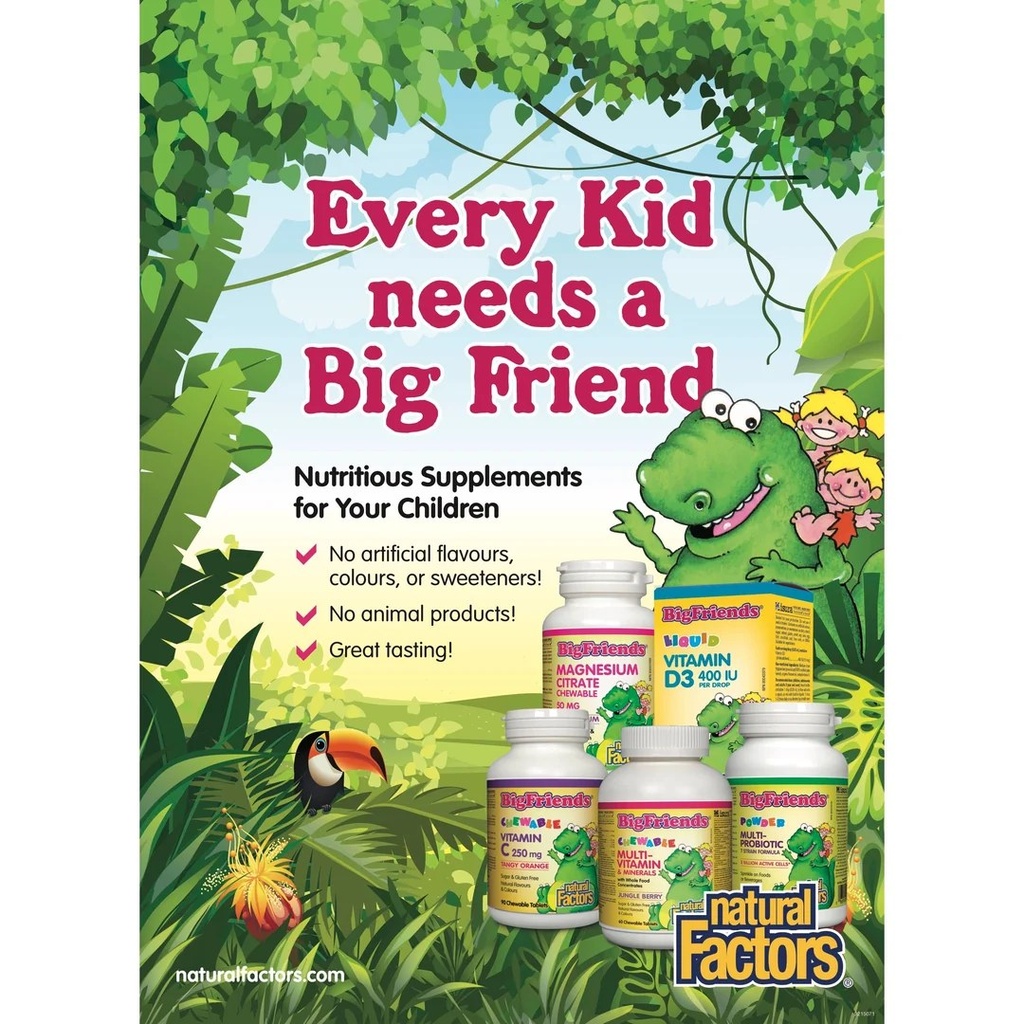 [JPR-0257] NATURAL FACTORS BIGFRIENDS MULTIBERRY CHEW TAB 60