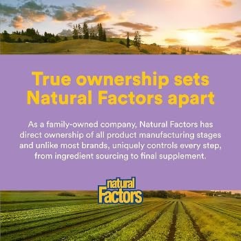 [JPR-0278] NATURAL FACTORS MAG+MEL+THEANINE+GBA 120G