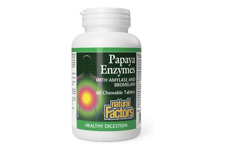 [JPR-0290] NATURAL FACTORS PAPAYA ENZYME CHWTAB 60'S