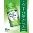 NATURE'S TRUTH GINKO BILOBA 120MG CAPS 100'S