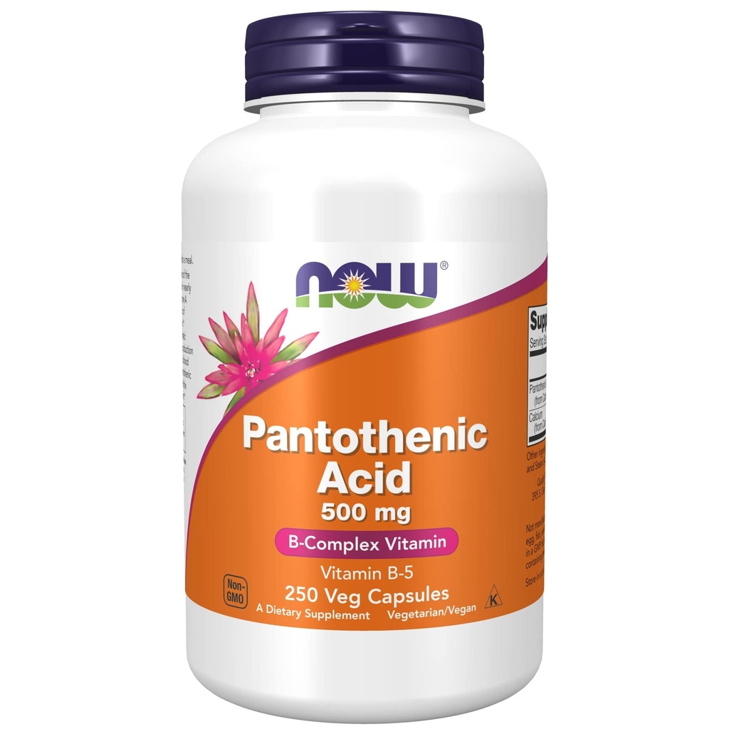 [JPR-0563] NOW PANTOTHENIC ACID 500MG CAPS